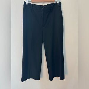 Banana Republic Wide Leg Crop Trousers